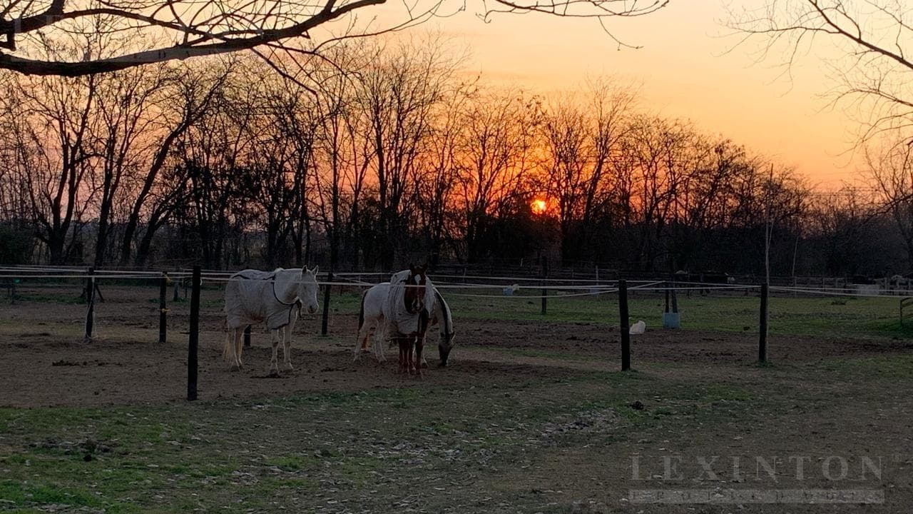Estancias del Pilar, Barrio La Argentina, Lote 6. Pilar. Bs As. - foto 1